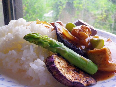 (油を使わず)茄子とアスパラガスのチキンカレー